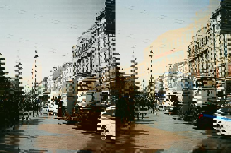 Stray Peafowl Causes Traffic Jam During Morning Commute in North Shore