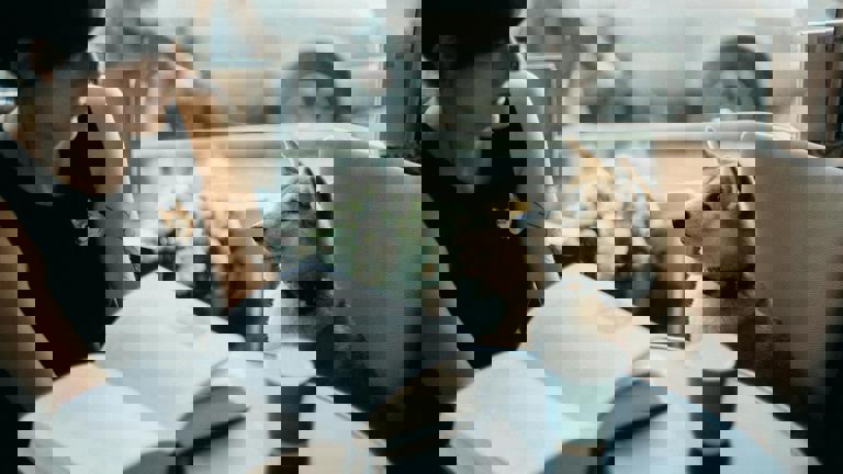 Unusual Pet Cafés Draw Crowd With Llamas, Mini Pigs, and Reptiles on the Menu